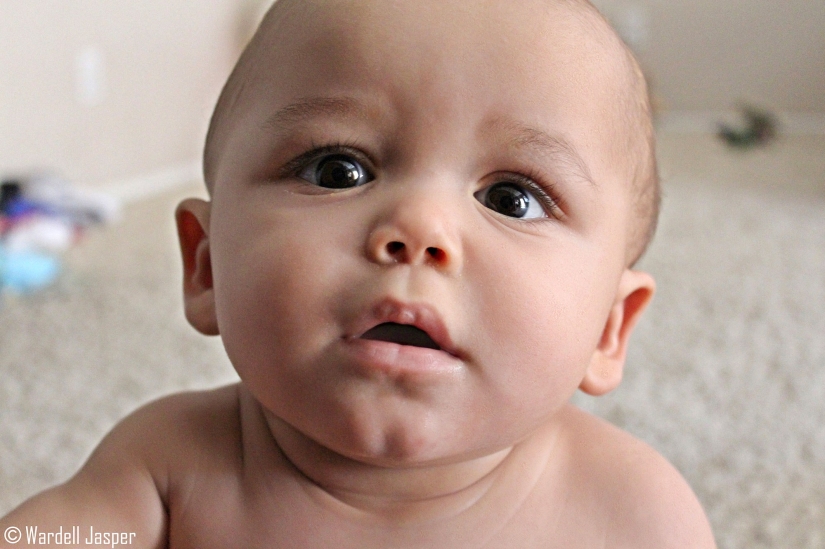 "I rented out my uterus, and they almost took my baby" "I rented out my uterus, and they almost took my baby"