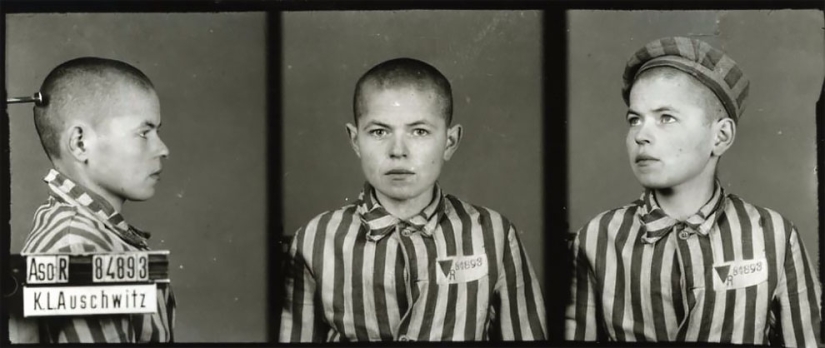 "I tried to calm them down": portraits of Auschwitz prisoners by Polish photographer Wilhelm Brass "I tried to calm them down": portraits of Auschwitz prisoners by Polish photographer Wilhelm Brass