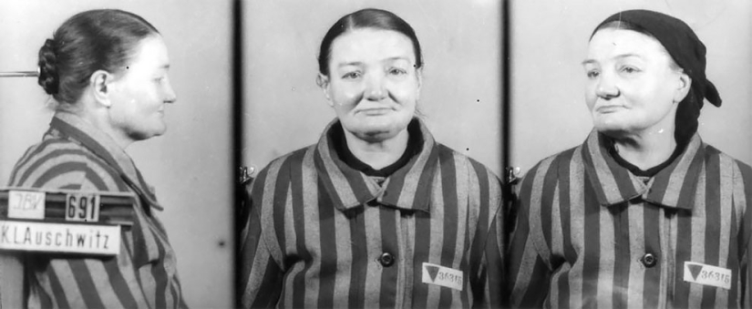 "I tried to calm them down": portraits of Auschwitz prisoners by Polish photographer Wilhelm Brass "I tried to calm them down": portraits of Auschwitz prisoners by Polish photographer Wilhelm Brass