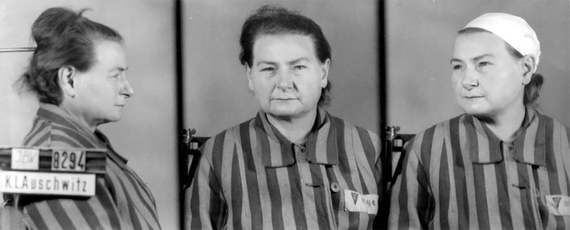"I tried to calm them down": portraits of Auschwitz prisoners by Polish photographer Wilhelm Brass "I tried to calm them down": portraits of Auschwitz prisoners by Polish photographer Wilhelm Brass