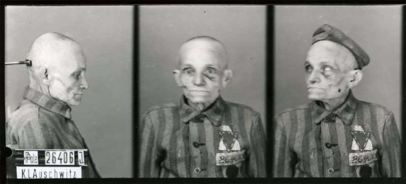 "I tried to calm them down": portraits of Auschwitz prisoners by Polish photographer Wilhelm Brass "I tried to calm them down": portraits of Auschwitz prisoners by Polish photographer Wilhelm Brass