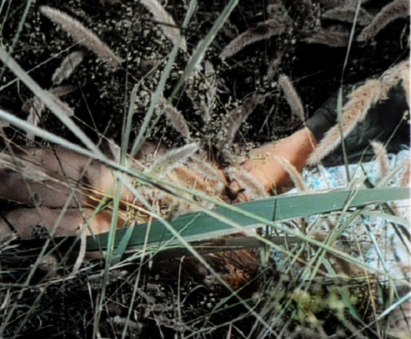 "I was killed today": police told on Twitter about the last day of the life of a girl killed in 1973 "I was killed today": police told on Twitter about the last day of the life of a girl killed in 1973