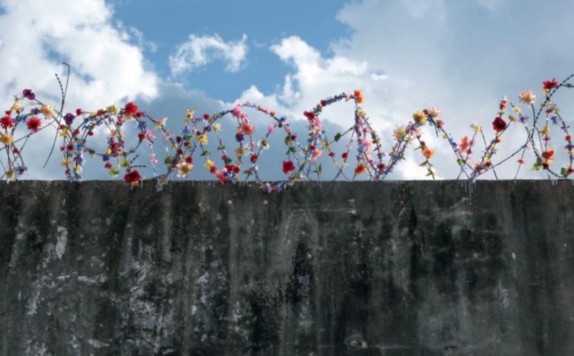 "If you get caught, you will be accused of Satanism": banned street art from two brothers from Iran