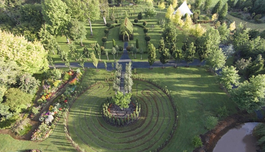 Iglesia de los árboles vivos