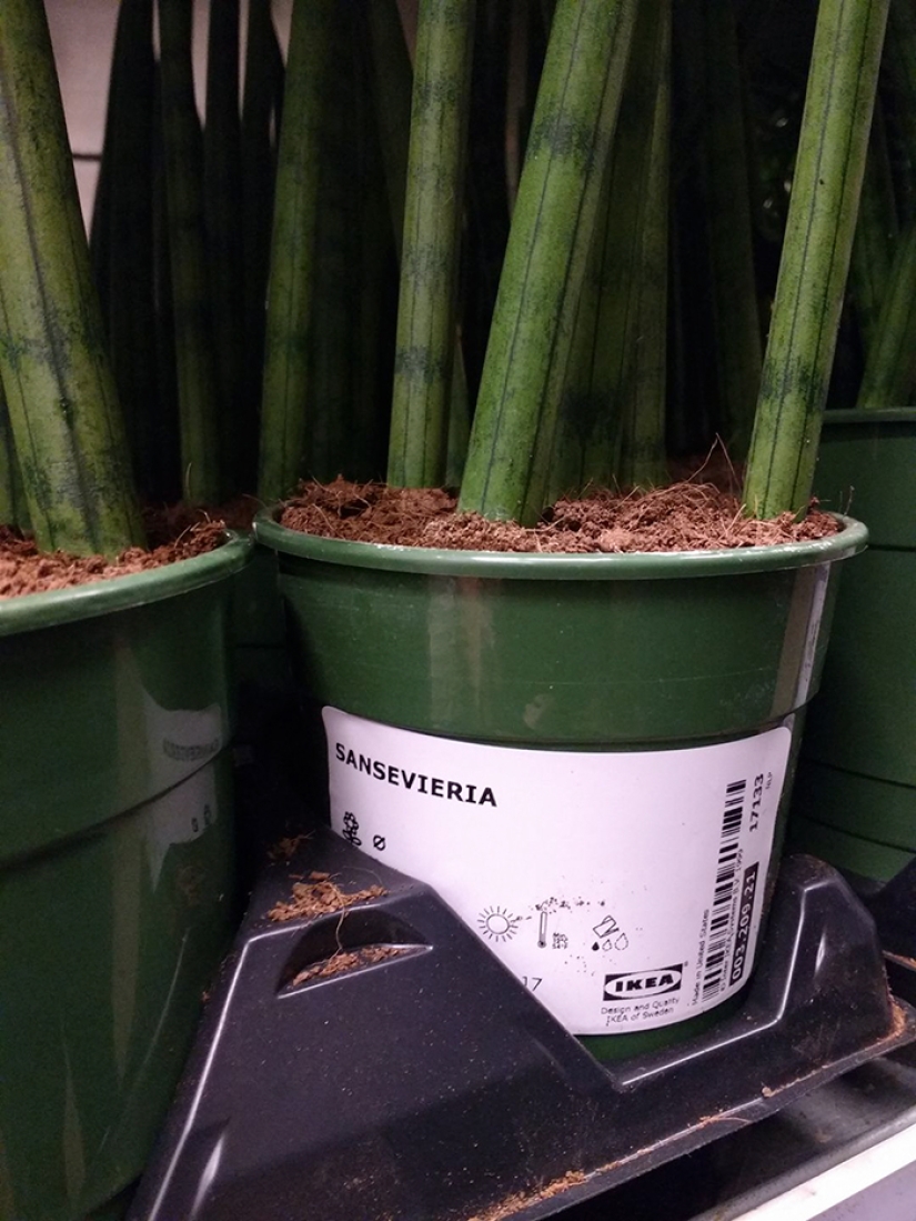 IKEA — Black Hole: Men's secret report on how time disappears