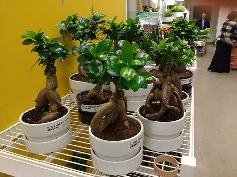 IKEA — Black Hole: Men's secret report on how time disappears