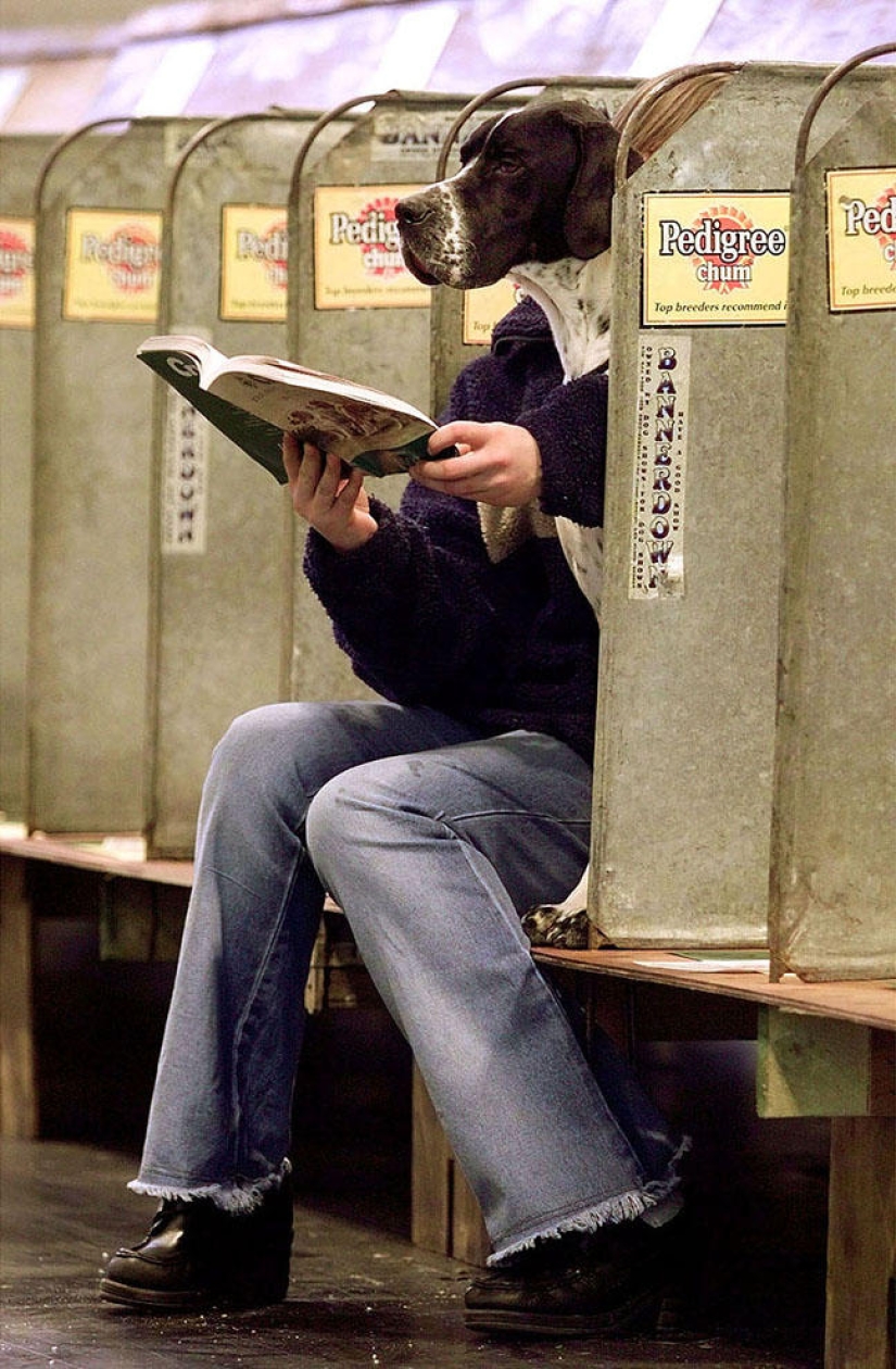 Ilusiones ópticas de todo el mundo