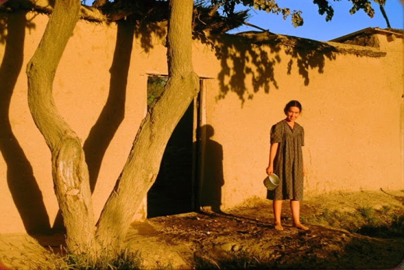 Imágenes cálidas y coloridas de la vida cotidiana en Uzbekistán en 1956