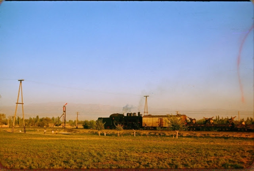 Imágenes cálidas y coloridas de la vida cotidiana en Uzbekistán en 1956