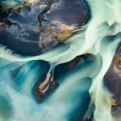 Imágenes fascinantes de la esperanza que se desvanece para la restauración de la ecología