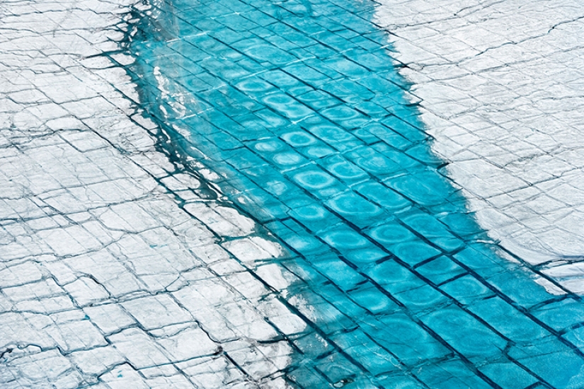 Imágenes fascinantes de la esperanza que se desvanece para la restauración de la ecología Imágenes fascinantes de la esperanza que se desvanece para la restauración de la ecología