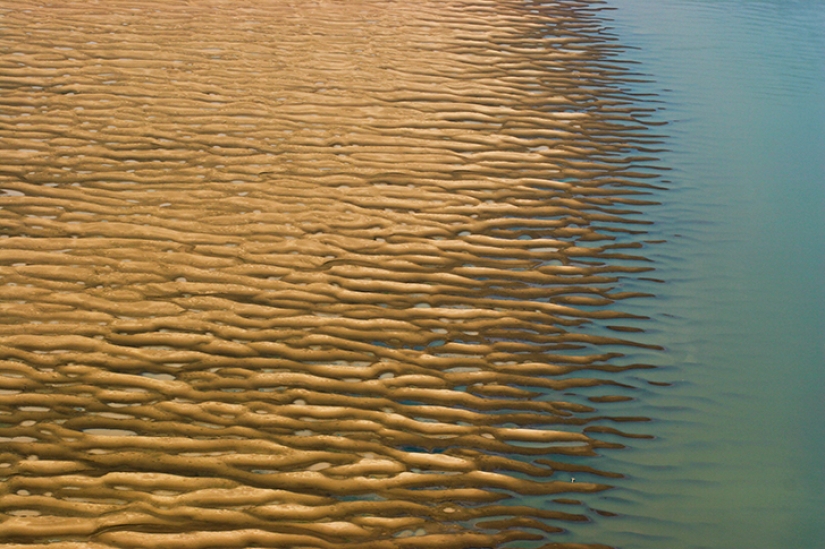 Imágenes fascinantes de la esperanza que se desvanece para la restauración de la ecología Imágenes fascinantes de la esperanza que se desvanece para la restauración de la ecología