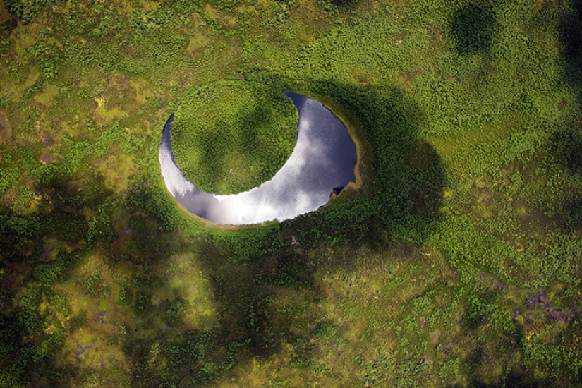 Imágenes fascinantes de la esperanza que se desvanece para la restauración de la ecología Imágenes fascinantes de la esperanza que se desvanece para la restauración de la ecología