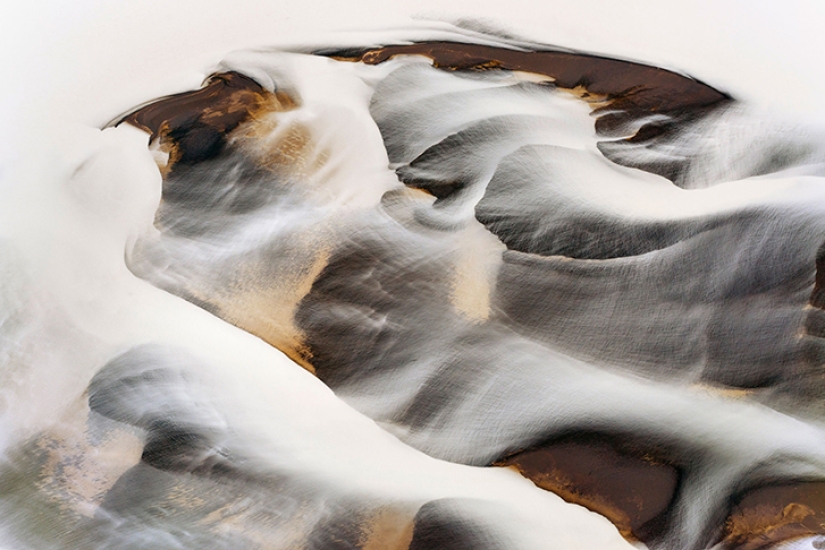 Imágenes fascinantes de la esperanza que se desvanece para la restauración de la ecología Imágenes fascinantes de la esperanza que se desvanece para la restauración de la ecología