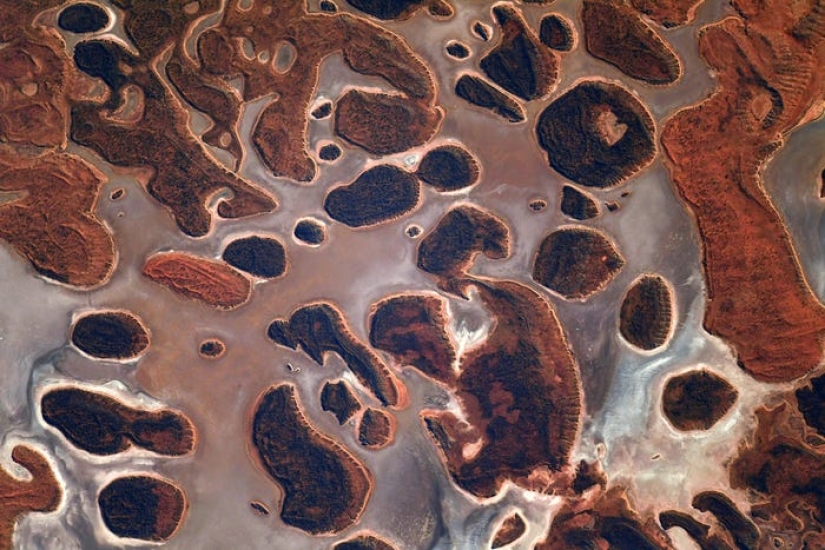 Impresionantes fotos del astronauta francés de la misión SpaceX capturan vibrantes auroras e incendios forestales Impresionantes fotos del astronauta francés de la misión SpaceX capturan vibrantes auroras e incendios forestales