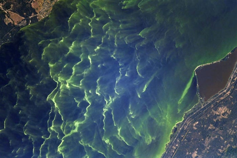 Impresionantes fotos del astronauta francés de la misión SpaceX capturan vibrantes auroras e incendios forestales Impresionantes fotos del astronauta francés de la misión SpaceX capturan vibrantes auroras e incendios forestales