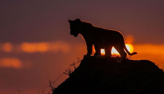 Impresionantes puestas de sol africanas por Paul Goldstein