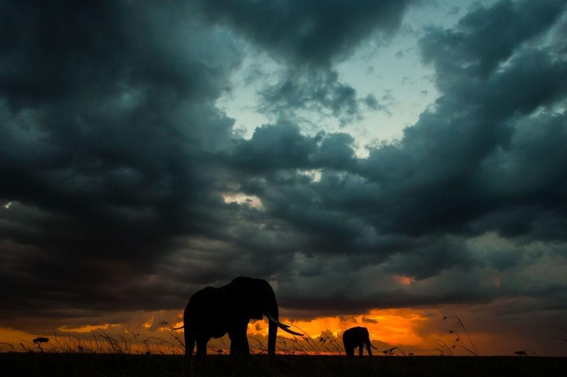 Impresionantes puestas de sol africanas por Paul Goldstein Impresionantes puestas de sol africanas por Paul Goldstein