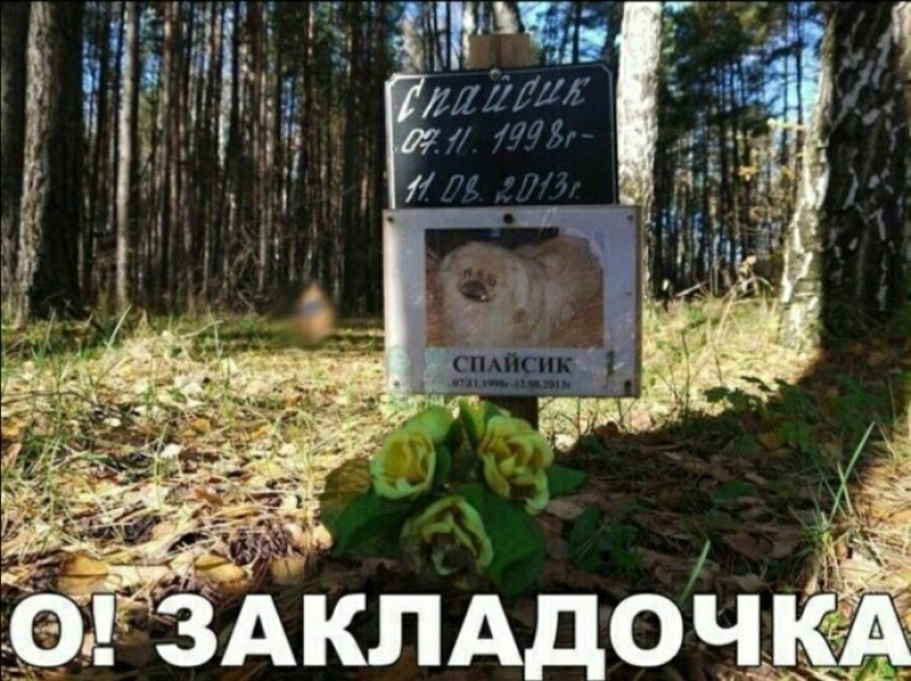 In captivity of "Hydra", or How drug traffickers use other people's videos for their own purposes