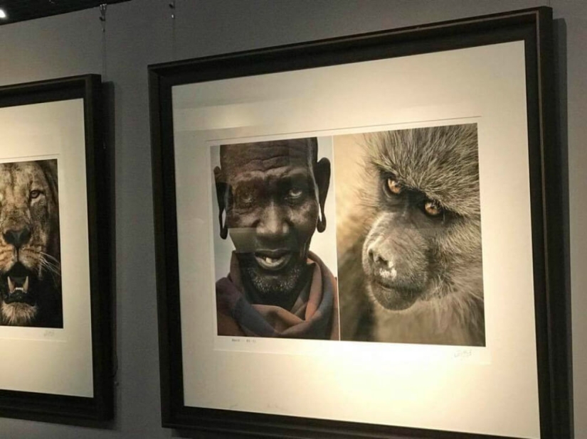 In China, a photo exhibition was closed, where Africans were compared to wild animals In China, a photo exhibition was closed, where Africans were compared to wild animals