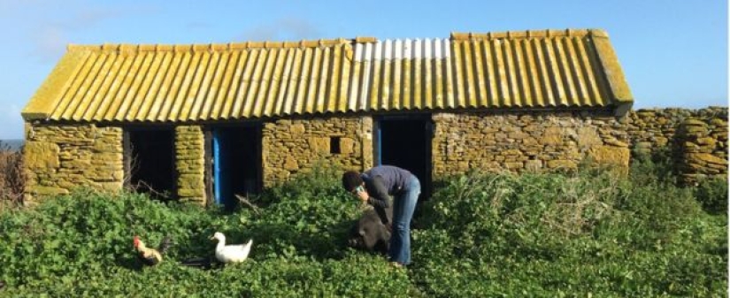 In France, they are looking for introverts who will live on an island with seals, sheep and rabbits