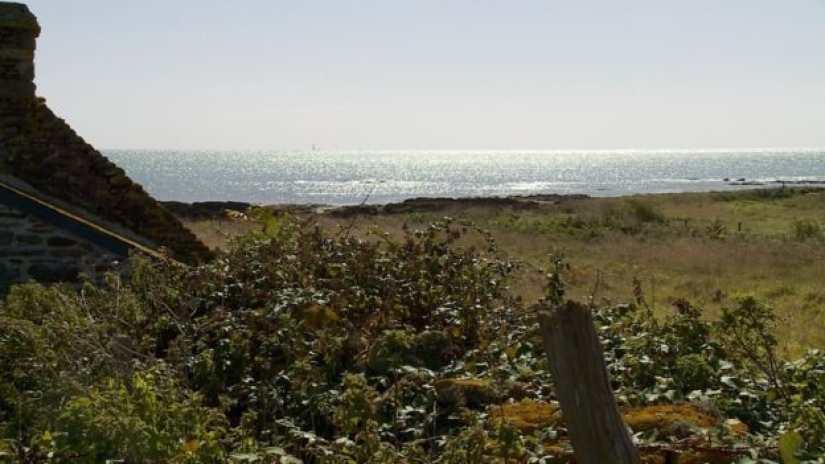 In France, they are looking for introverts who will live on an island with seals, sheep and rabbits