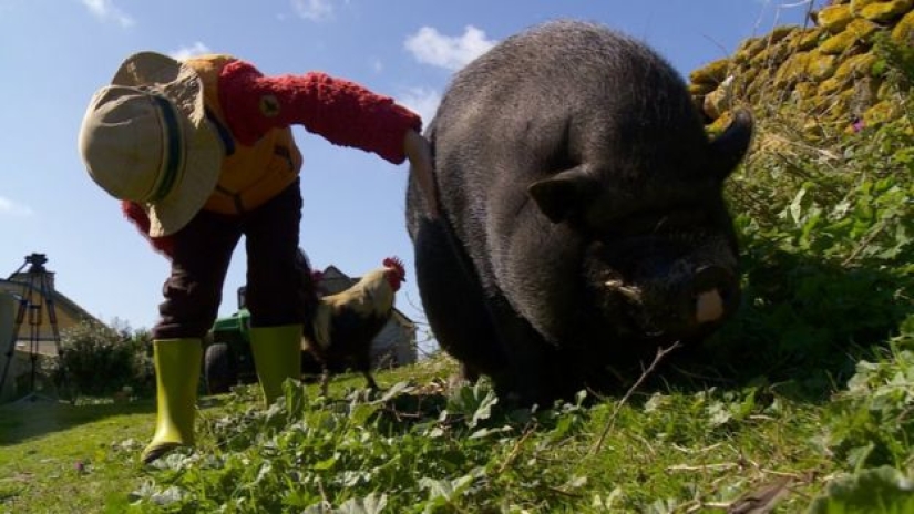 In France, they are looking for introverts who will live on an island with seals, sheep and rabbits