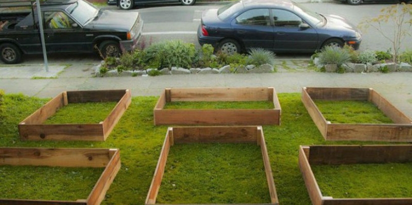 In just 60 days, this guy has grown a cool garden in front of the house