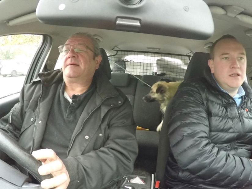 In London, they are looking for a maniac who killed more than 360 animals in 2 years