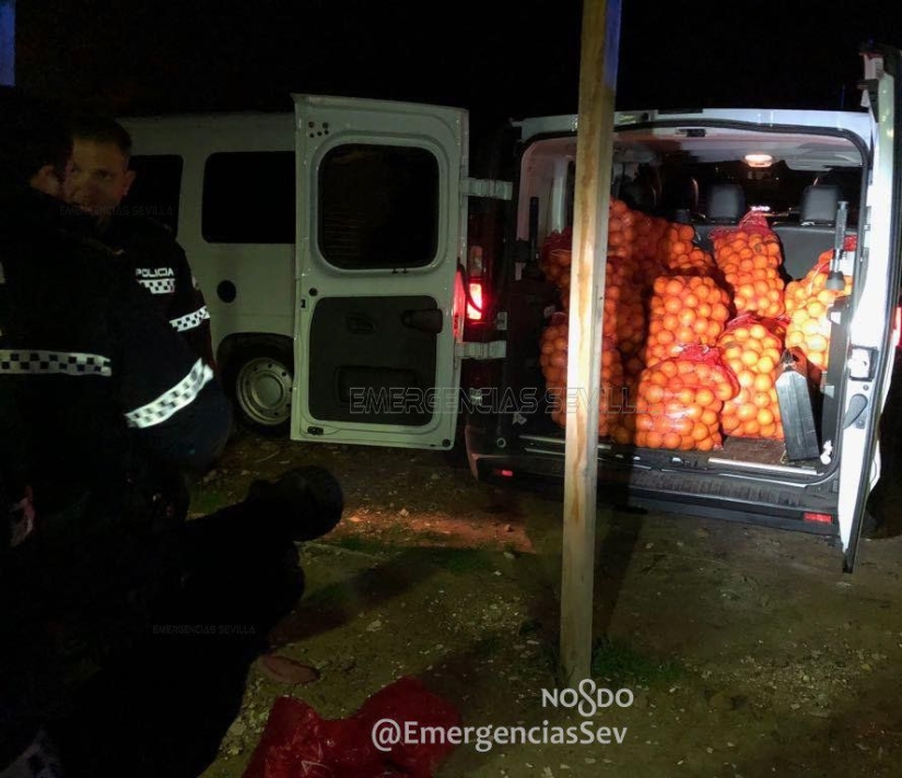 In Spain, a family was arrested for stealing four tons of oranges In Spain, a family was arrested for stealing four tons of oranges