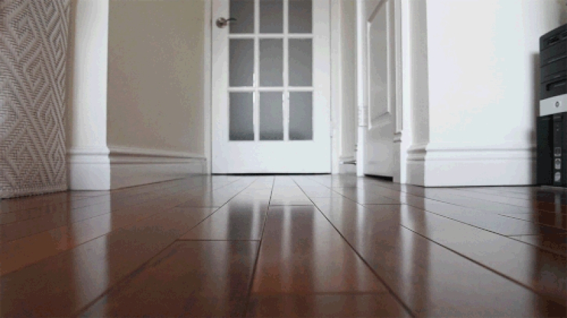 In the bedrooms of New York ballerinas