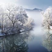 In the footsteps of the Brothers Grimm