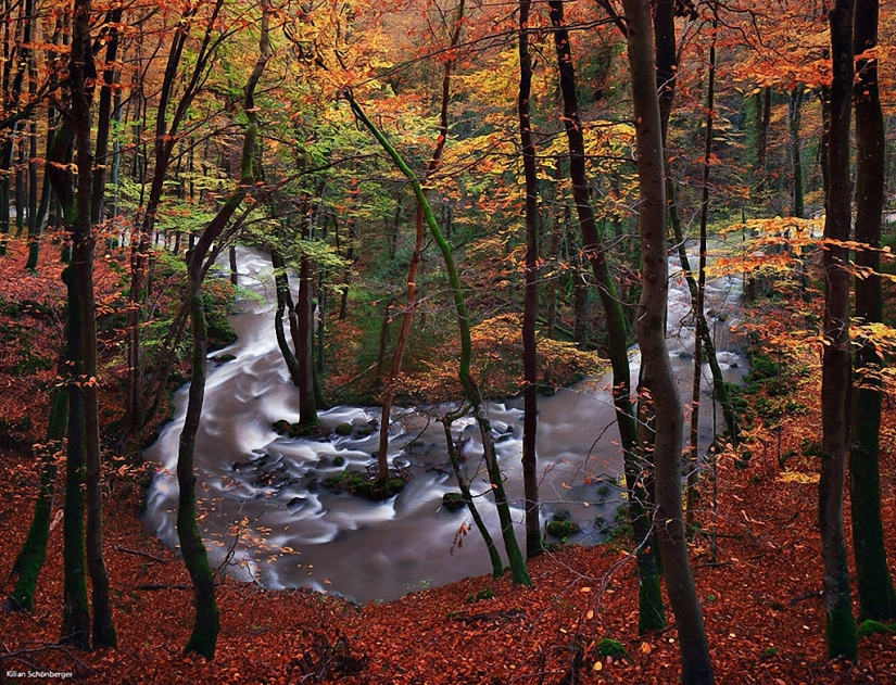 In the footsteps of the Brothers Grimm