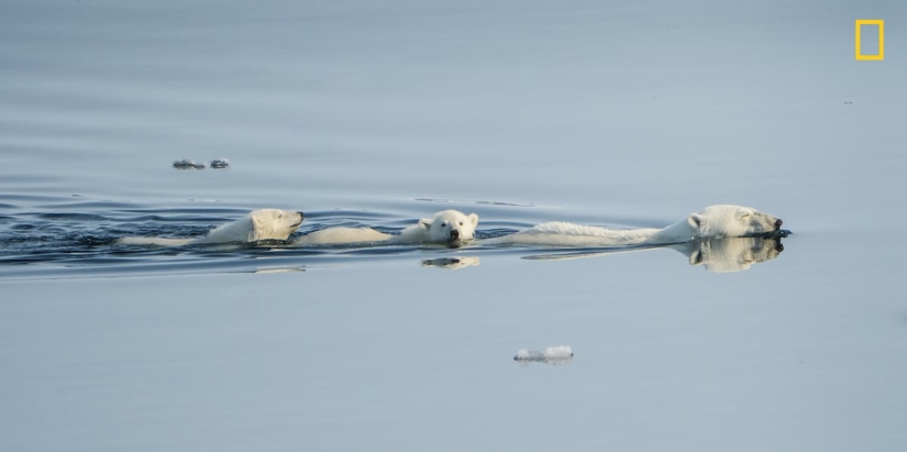 In the lens of nature: stunning images from the 2018 National Geographic Travel Photographer Contest