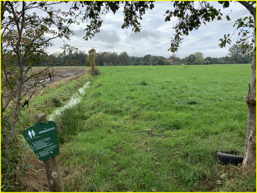 In the Netherlands, due to fear of the end of the world, a father of 9 years kept his children in a bunker
