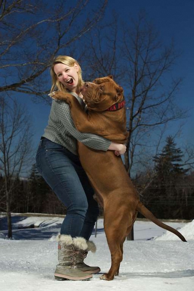 In the world of amazing animals