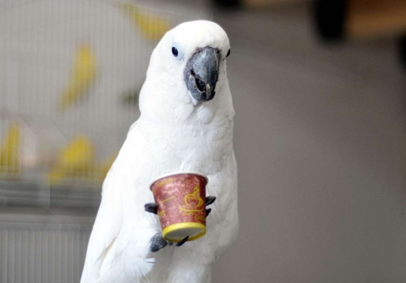 In the world of amazing animals