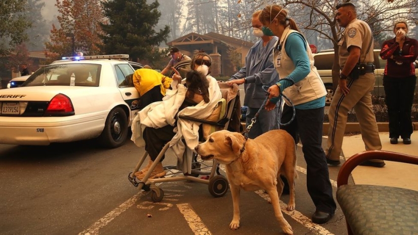 Incendios forestales en California: la ciudad de Paradise incendiada, Malibú evacuada