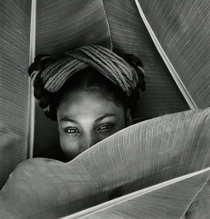 Increíbles imágenes de mujeres hermosas por Fritz Henle Increíbles imágenes de mujeres hermosas por Fritz Henle