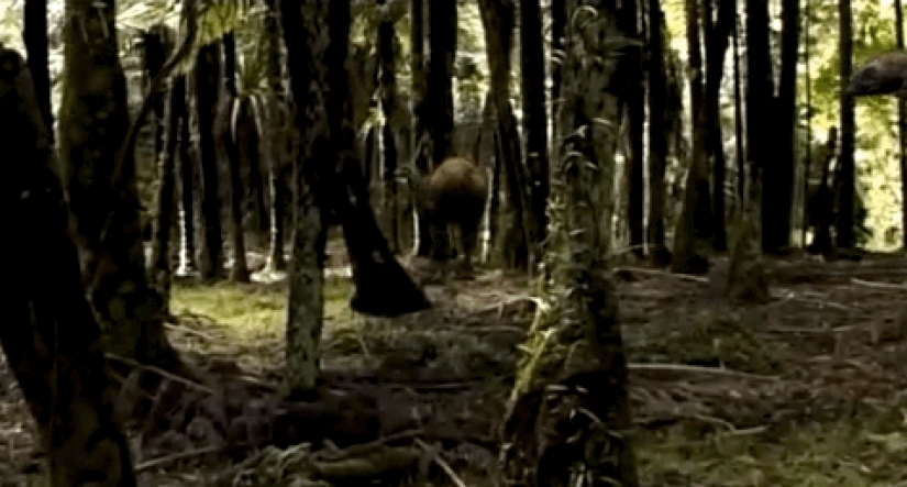 Increíbles monstruos del pasado que vivieron en la Tierra