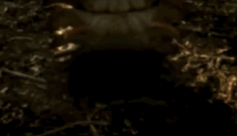 Increíbles monstruos del pasado que vivieron en la Tierra