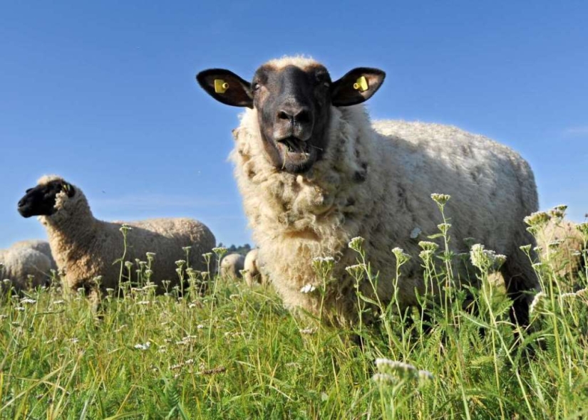 Increíbles resultados de investigación