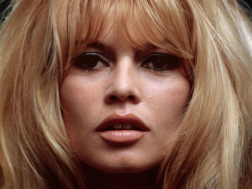 Increíbles retratos del fotógrafo personal de estrellas de Hollywood