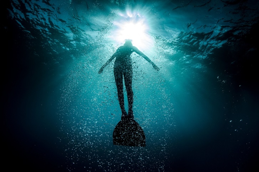 Incredible freediving in the wild