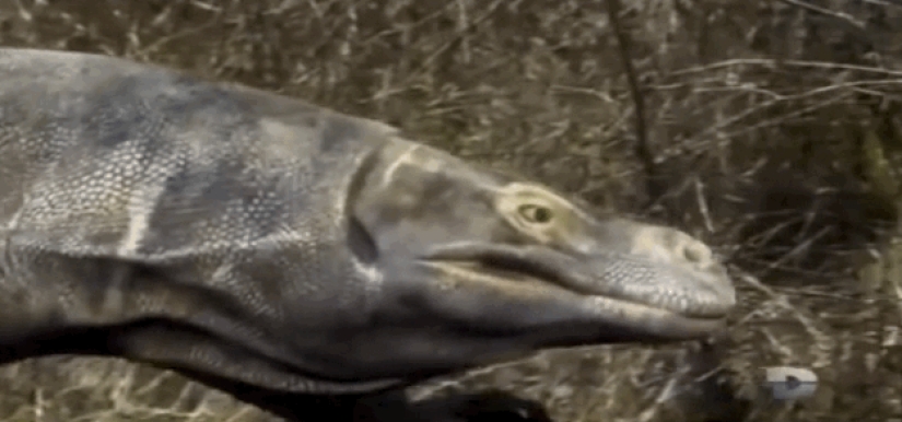 Incredible monsters of the past that lived on Earth Incredible monsters of the past that lived on Earth