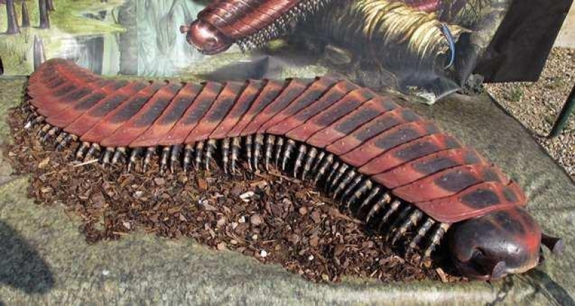 Incredible monsters of the past that lived on Earth Incredible monsters of the past that lived on Earth