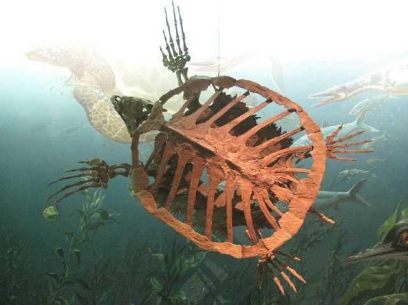 Incredible monsters of the past that lived on Earth Incredible monsters of the past that lived on Earth