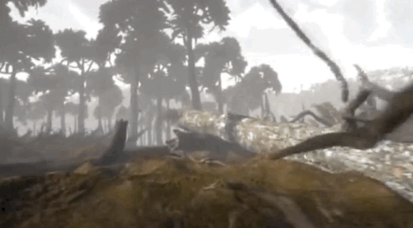 Incredible monsters of the past that lived on Earth Incredible monsters of the past that lived on Earth