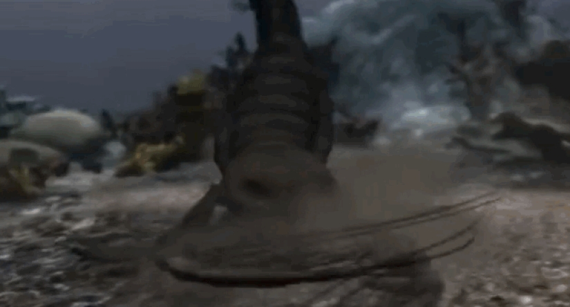 Incredible monsters of the past that lived on Earth Incredible monsters of the past that lived on Earth