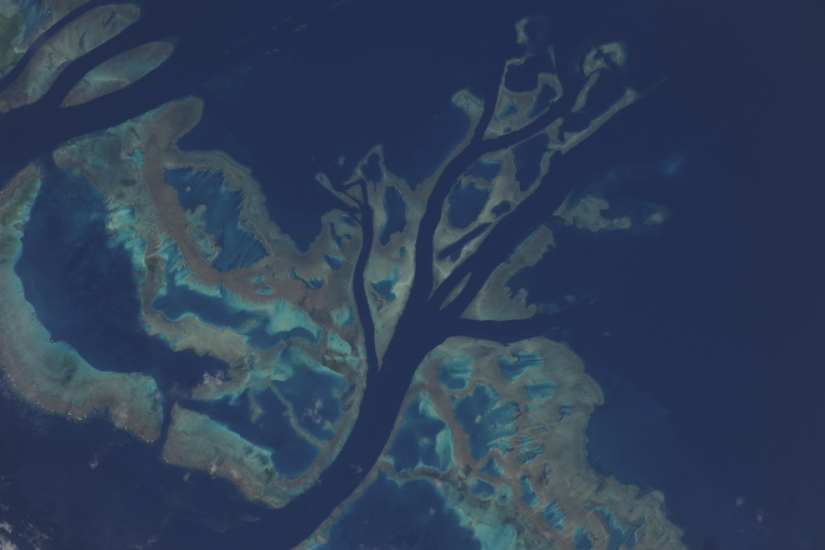 Incredible photos from space of astronaut Douglas Wheelock